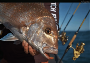 Moontide Fishing Snapper Time