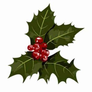 holly