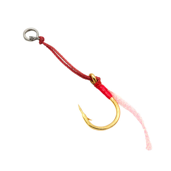 catch fishing, jigging hook, mechanical jigging hook