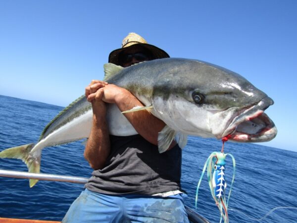 Catch Giant Squidwings Jig - Image 5