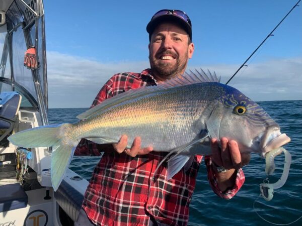 On the deck of his trusty boat, a fisherman beams with pride, showing off a massive blue and yellow beauty caught using his trusty Catch Black Label Livies Curly Tails lure. Clad in his signature red plaid shirt and blue cap, he stands triumphantly against an endless ocean backdrop—a testament to perfect gear meeting perfect day on the water.