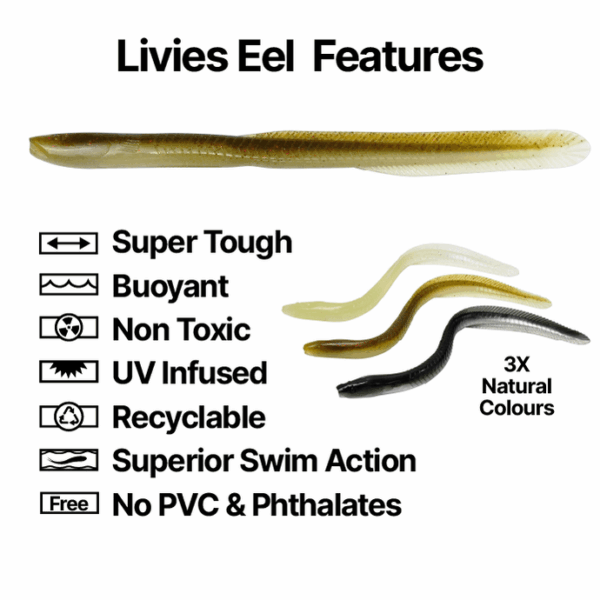 Catch Black Label Livies 7" Eels - Image 7