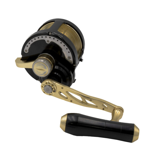 Catch jigging reel, jigging, dogtooth, kingfish